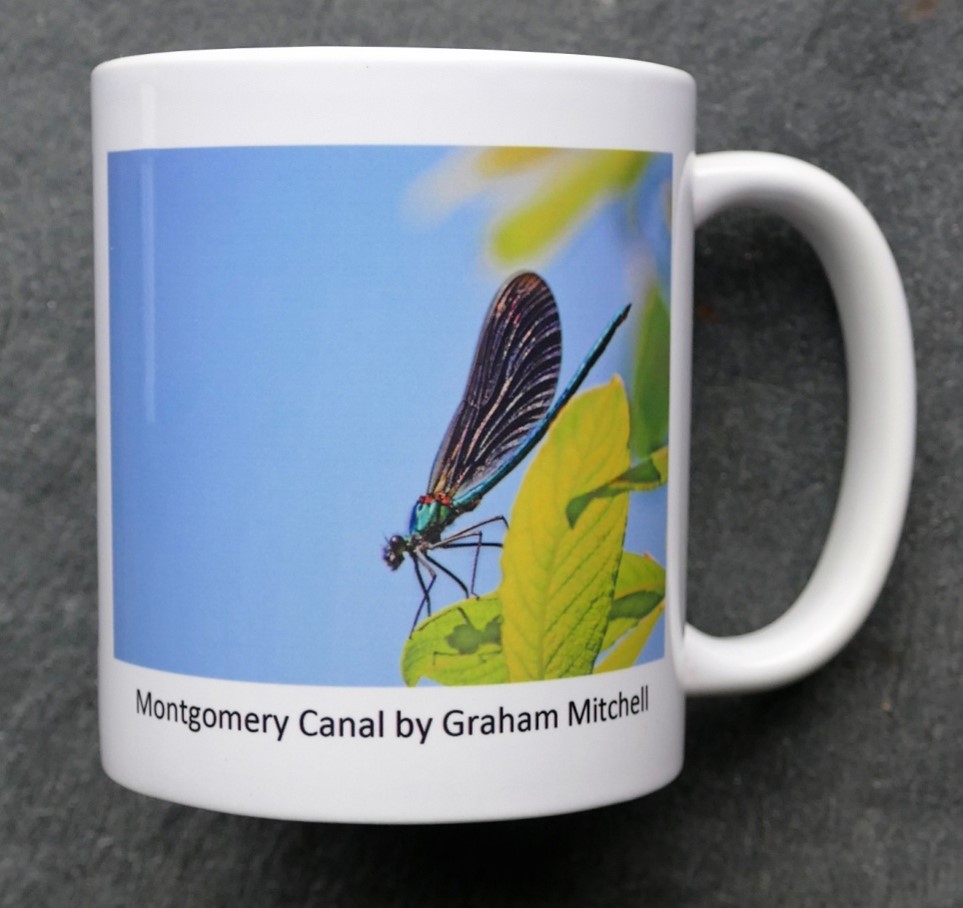 Montgomery canal dragon fly mug