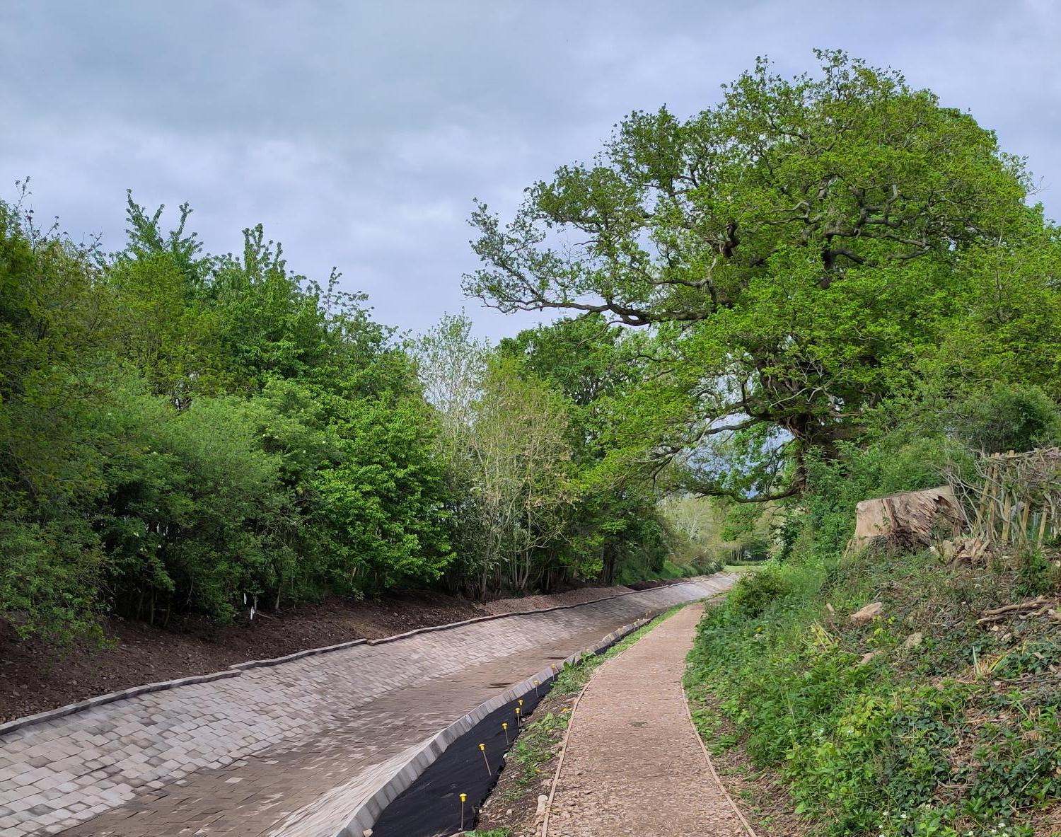 Montgomery Canal with blocks in the channel and trees next to the towpath